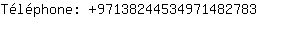 Tlphone: 9713824453497148....