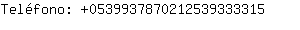 Telfono: 053993787021253933....