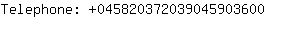 Telephone: 04582037203904590....