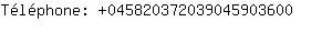 Tlphone: 04582037203904590....