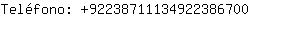 Telfono: 9223871113492238....