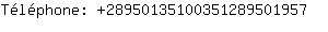 Tlphone: 2895013510035128950....