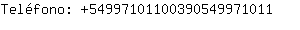 Telfono: 5499710110039054997....