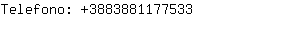 Telefono: 388388117....