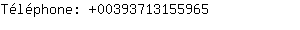 Tlphone: 0039371315....