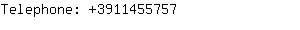 Telephone: 39-391145....