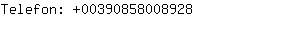 Telefon: 0039085800....