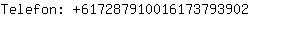 Telefon: 61728791001617379....