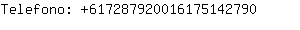 Telefono: 61728792001617514....