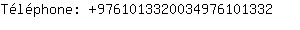 Tlphone: 976101332003497610....