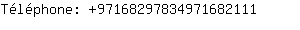 Tlphone: 9716829783497168....
