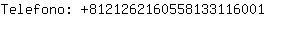 Telefono: 812126216055813311....