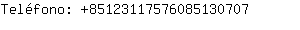 Telfono: 8512311757608513....