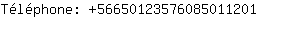 Tlphone: 5665012357608501....