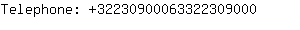 Telephone: 3223090006332230....