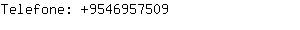 Telefone: 954695....
