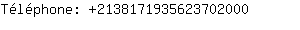 Tlphone: 213817193562370....