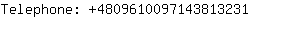 Telephone: 480961009714381....