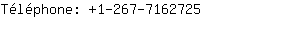 Tlphone: 1-267-716....