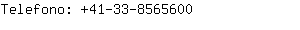 Telefono: 41-33-856....