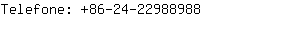 Telefone: 86-24-2298....