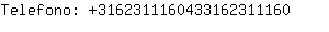 Telefono: 316231116043316231....