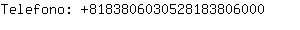 Telefono: 818380603052818380....