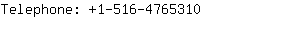 Telephone: 1-516-476....
