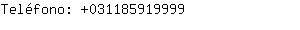 Teléfono: 03118591....