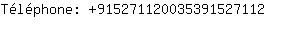 Tlphone: 91527112003539152....