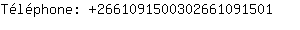 Tlphone: 266109150030266109....