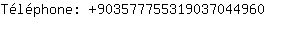 Tlphone: 90357775531903704....