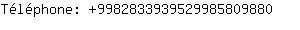 Tlphone: 998283393952998580....