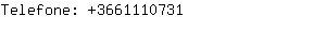 Telefone: 366111....