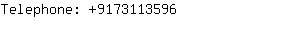 Telephone: 917311....