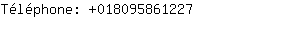 Téléphone: 01809586....