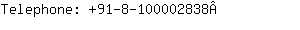 Telephone: 91-8-1000028....