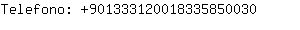 Telefono: 90133312001833585....