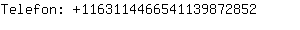 Telefon: 116311446654113987....