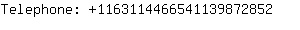 Telephone: 116311446654113987....