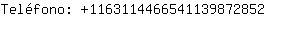 Telfono: 116311446654113987....