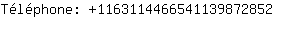 Tlphone: 116311446654113987....