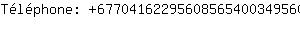 Tlphone: 677041622956085654003495608....