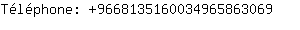 Tlphone: 966813516003496586....