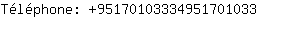 Tlphone: 9517010333495170....