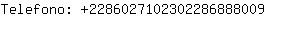 Telefono: 228602710230228688....