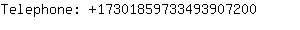 Telephone: 1730185973349390....