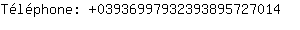 Tlphone: 0393699793239389572....