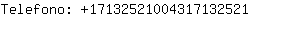 Telefono: 1713252100431713....