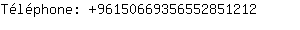 Tlphone: 9615066935655285....